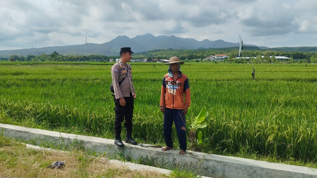 Swasembada Pangan : Bhabinkamtibmas Sluke Dukung Program Ketahanan Pangan