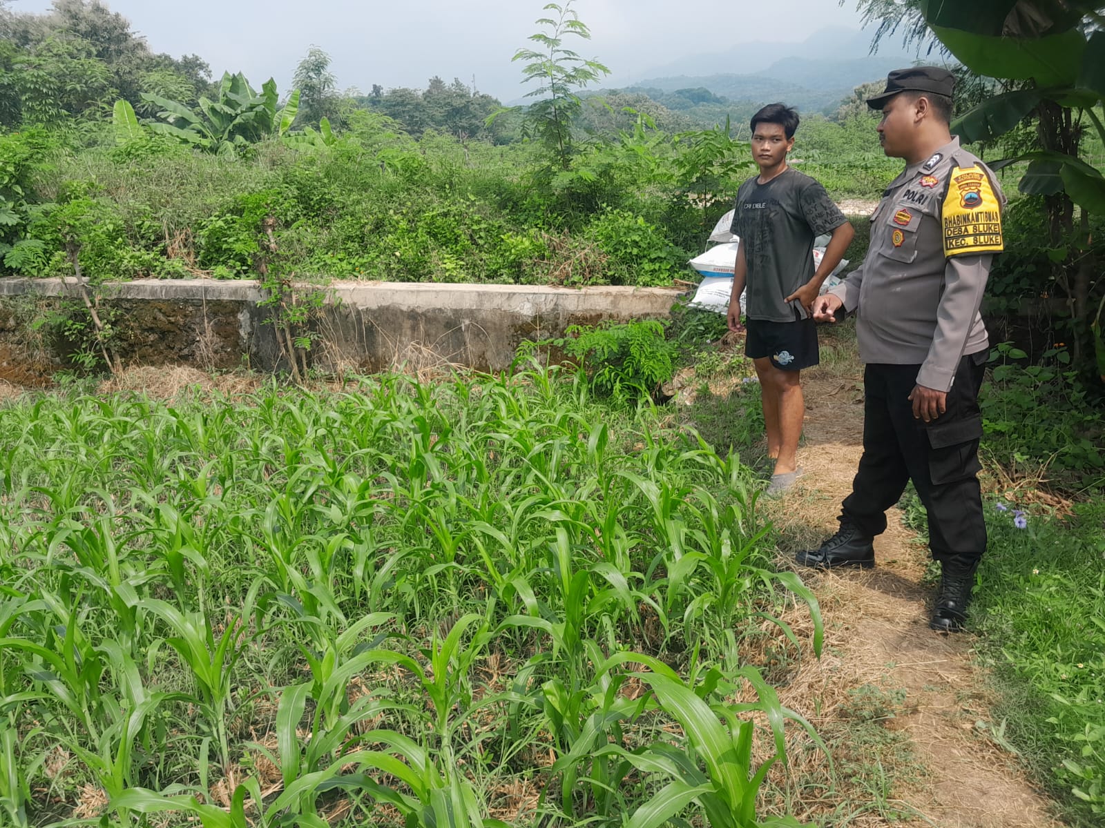 Bhabinkamtibmas Sluke Dukung Program Ketahanan Pangan Lahan Pertanian Di Sluke
