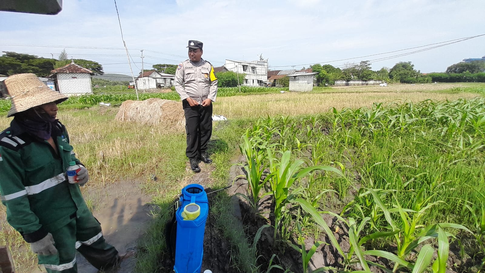 Program Nasional Swasembada Pangan : Aiptu Amin Berikan Sambang Pada Petani Jagung