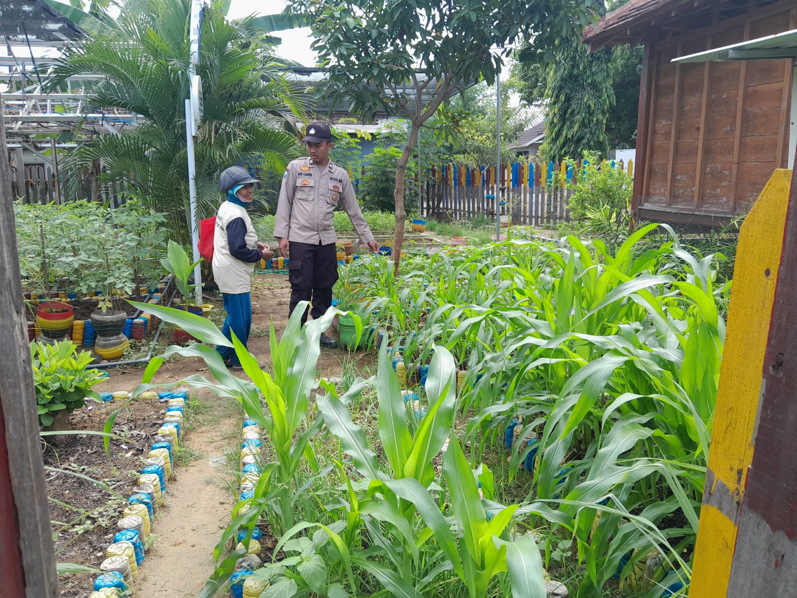 Dukung Program Pemerintah, Polsek Sedan Sambangi Petani Jagung di Desa Mojosari