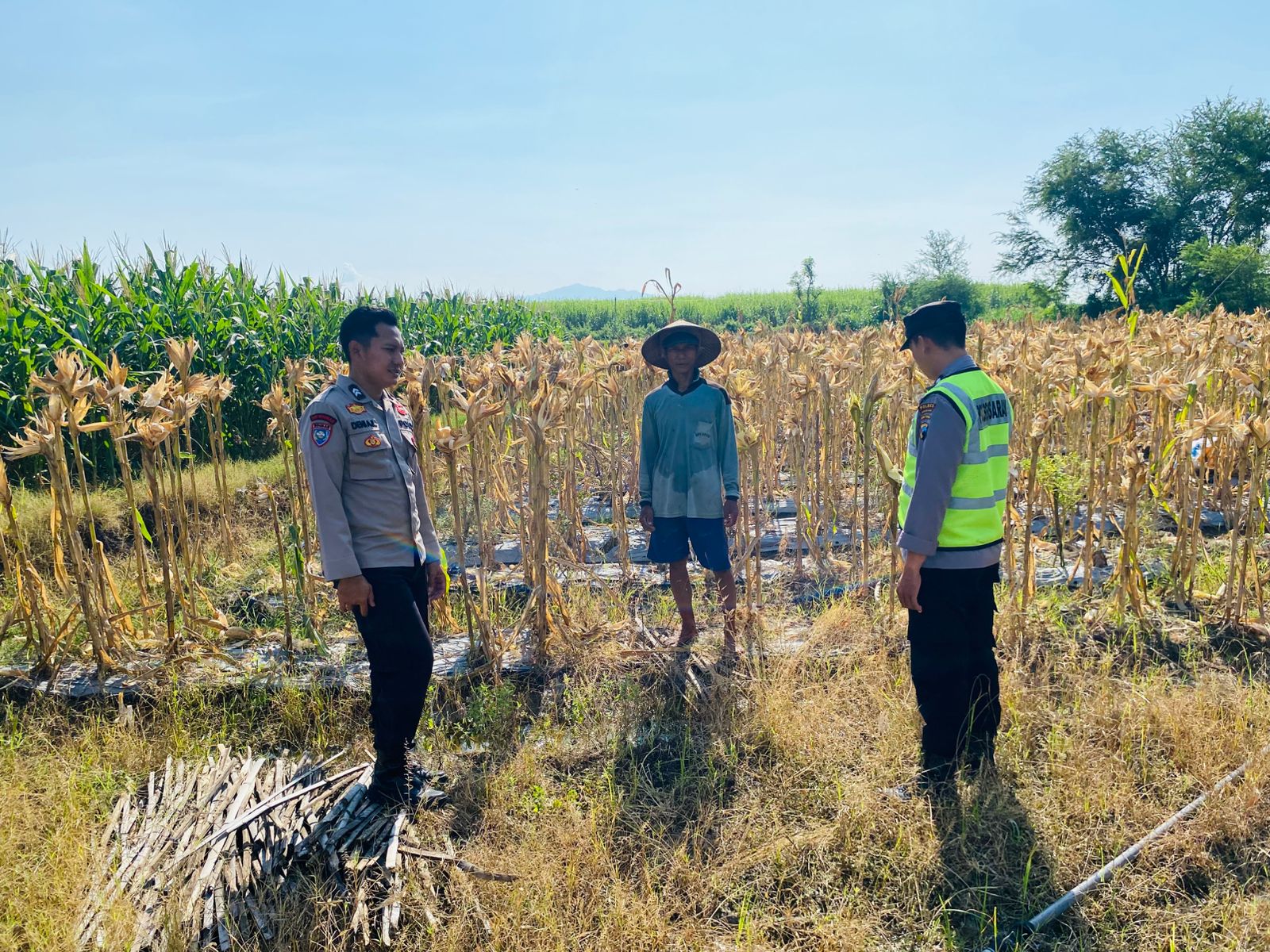 Polsek Sarang Laksanakan Pengecekan Lahan Ketahanan Pangan Warga Binaan